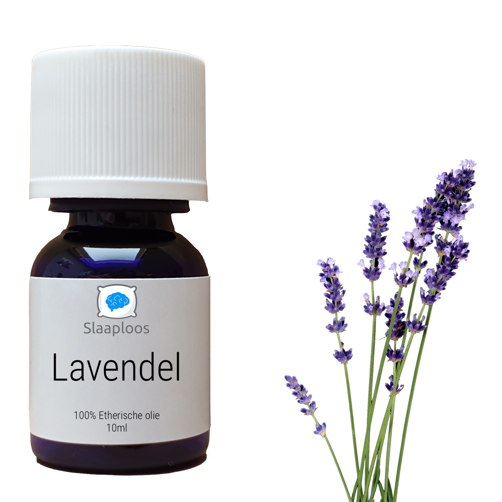 Lavendelolie - Etherische Olie Slaaploos